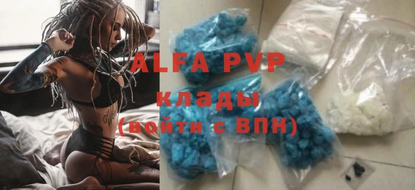 стаф Инсар
