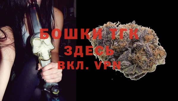 стаф Инсар