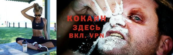 стаф Инсар