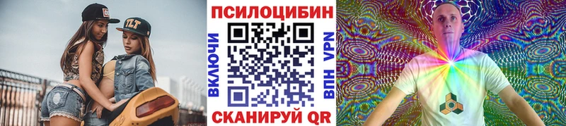 Галлюциногенные грибы Psilocybine cubensis  Купить где  Брюховецкая 